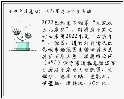 小电年度总结：2022厨房小电发生的质变 | 报告看点_beat365官网